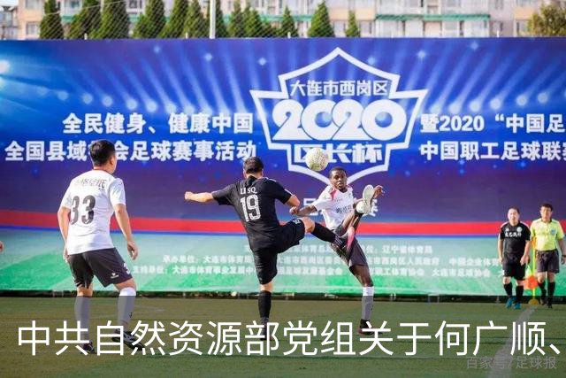 中共自然资源部党组关于何广顺、郭兆敏、张绍丽等同志职务任免的通知