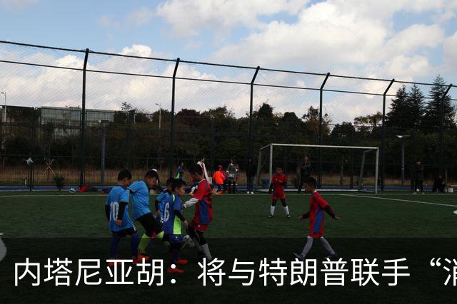 内塔尼亚胡：将与特朗普联手“消除伊朗威胁”