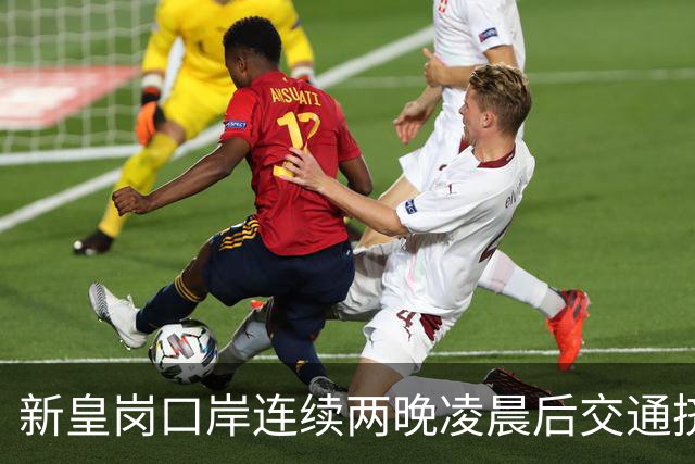 新皇岗口岸连续两晚凌晨后交通挤塞 议员吁旅客多留一晚消费
